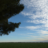 Farm 17