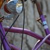 purple bike