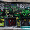 ninja turtles