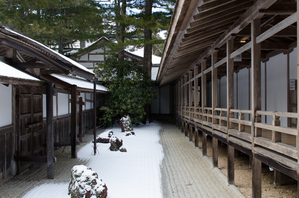 高野山 金剛峯寺中庭