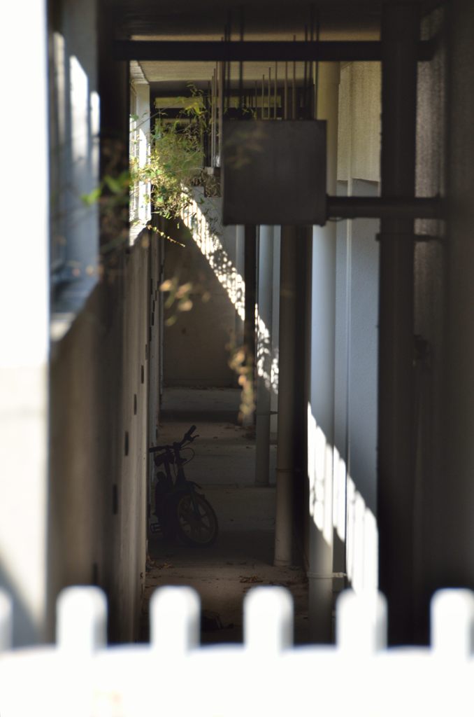 morning sun
