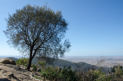 You Yangs Park