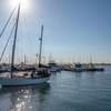 Williamstown 2