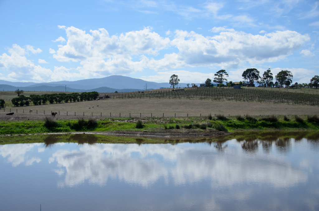 Yarra Valley