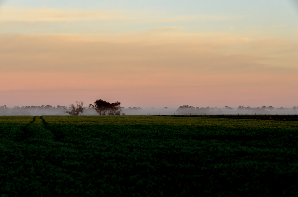 Farm 8
