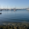 Williamstown