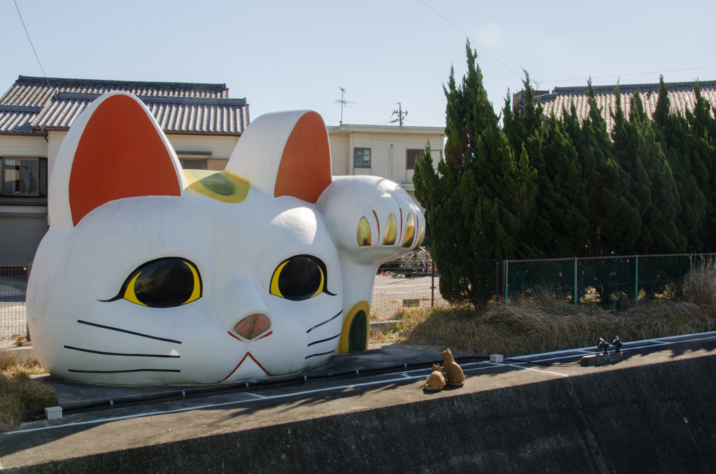 にゃん♪