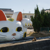 にゃん♪