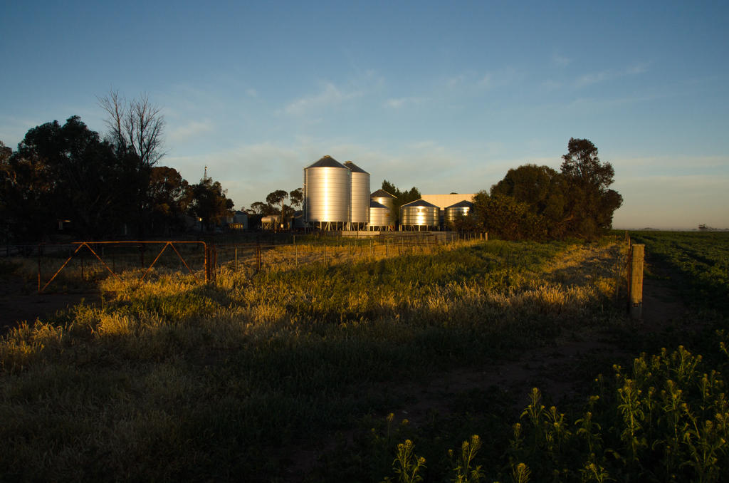 Farm 10