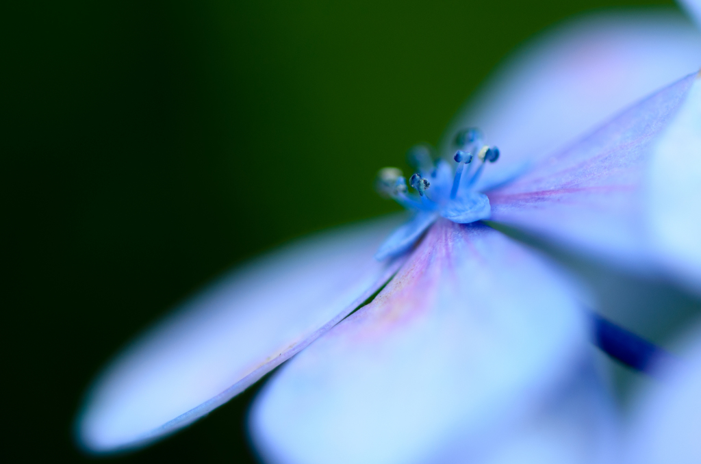 macro 2