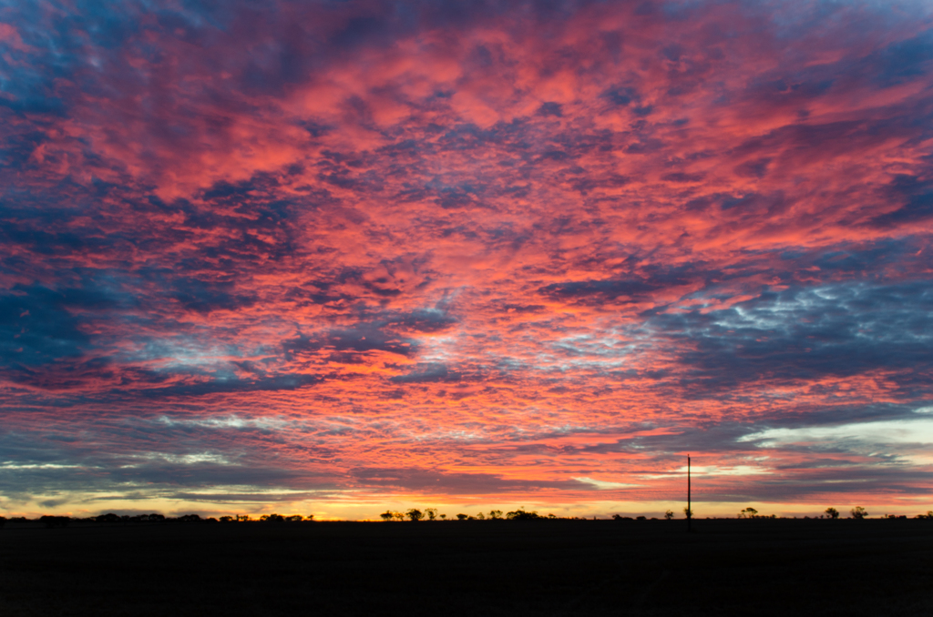 pink sky 1