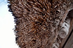 thatched roof