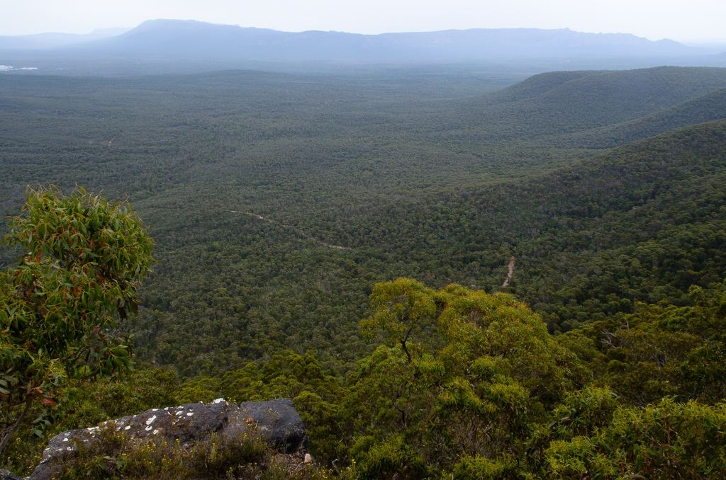 The Graｍpians