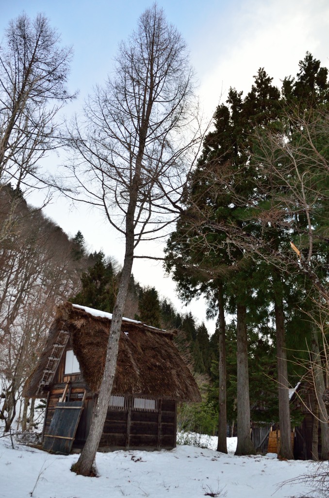 gassho style hut