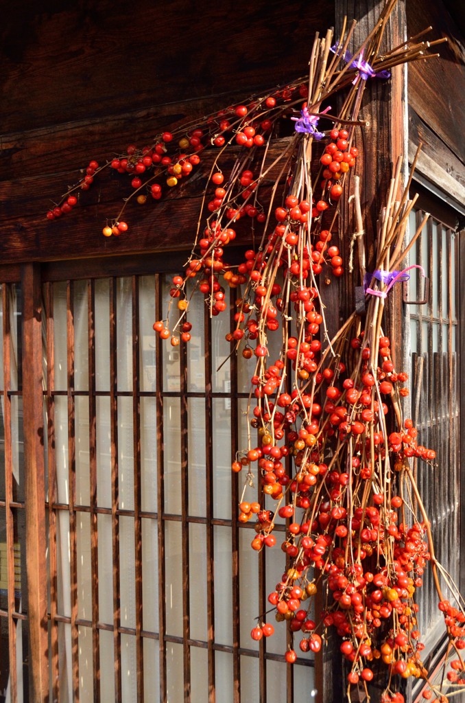 花茄子