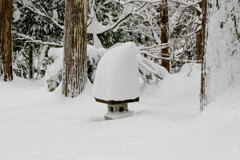 雪の帽子