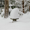 雪の帽子
