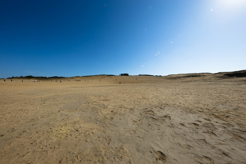 この先に何がある