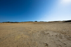 この先に何がある