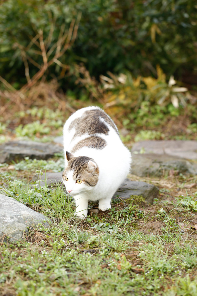 何かな