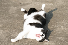 眠いです