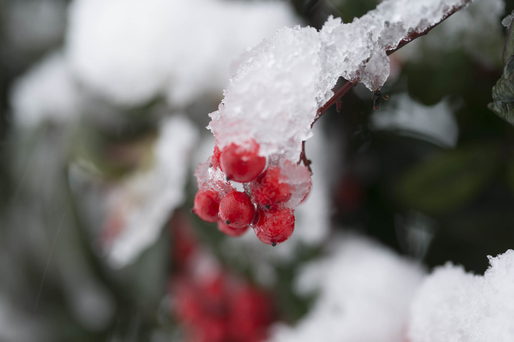 雪の帽子