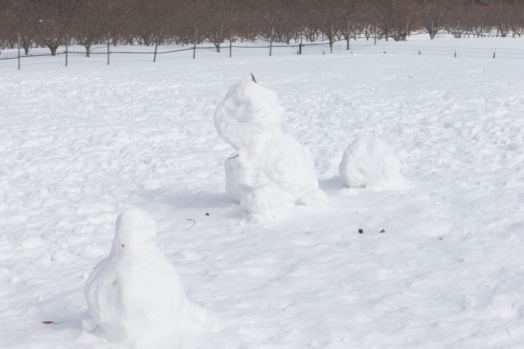 雪の兄弟
