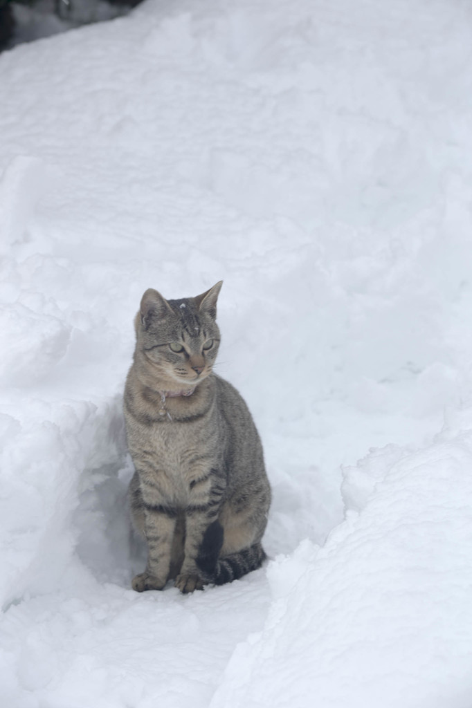 何してる