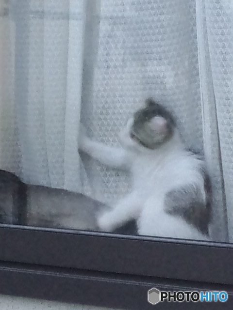 遊んで
