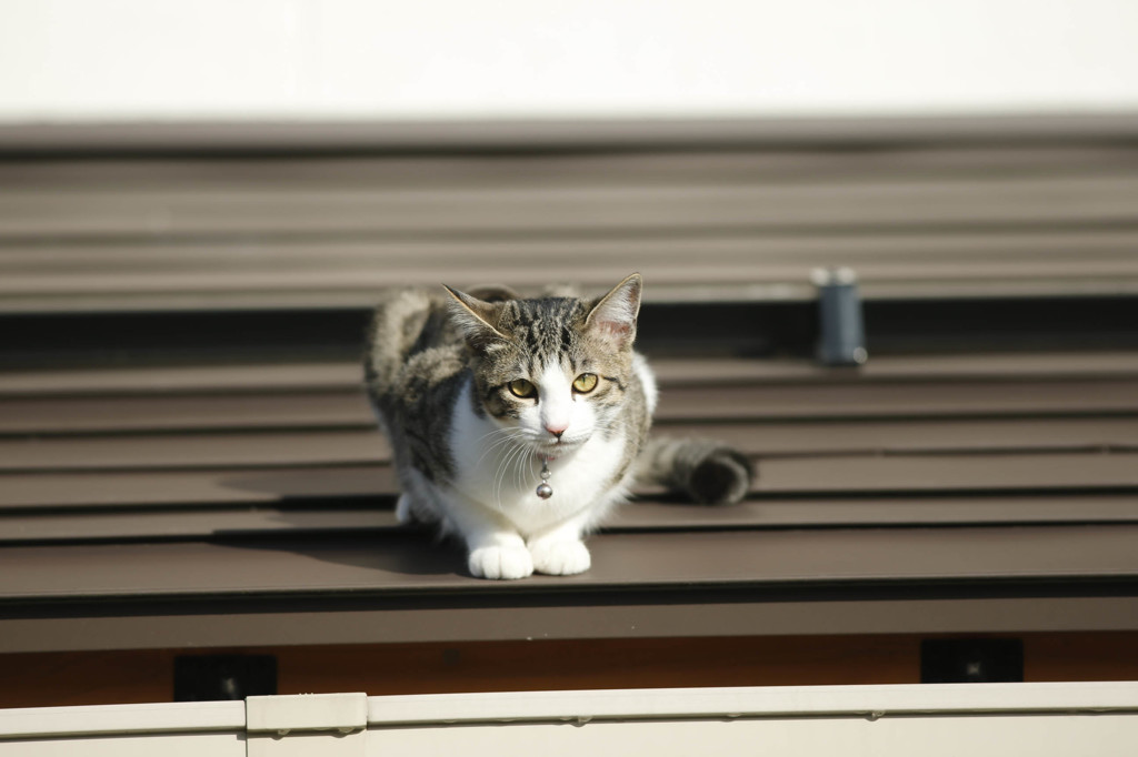 気持ちいいな