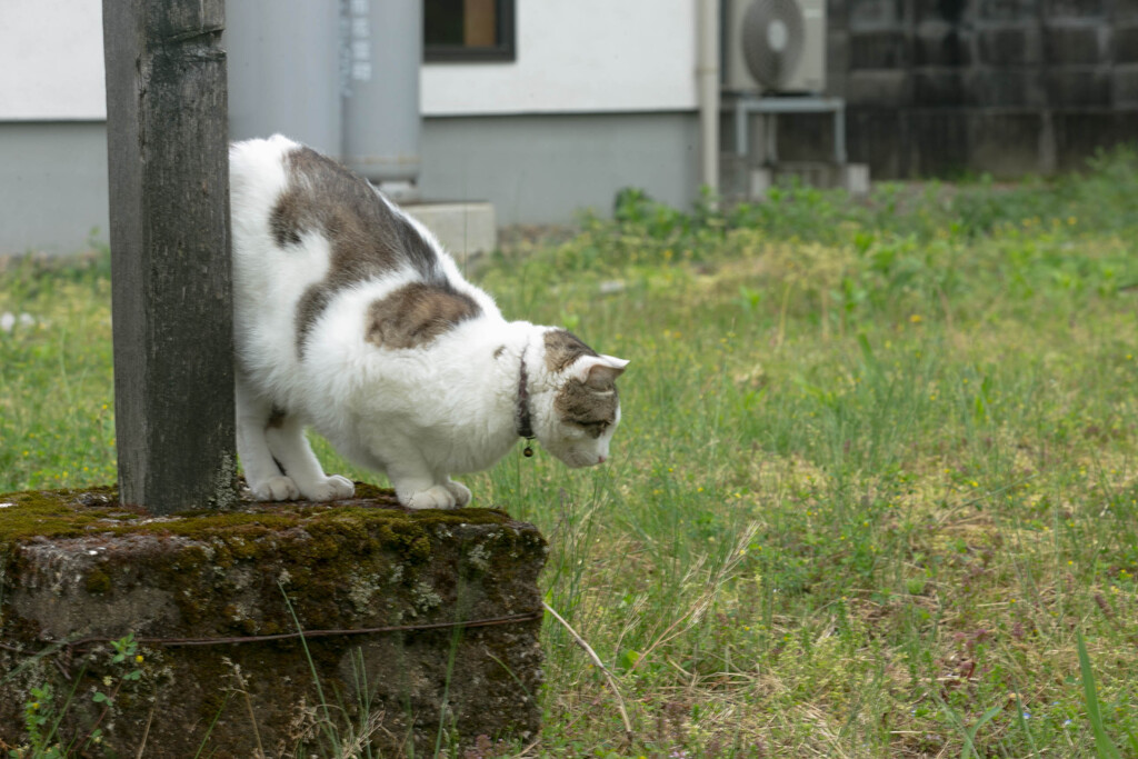 位置について