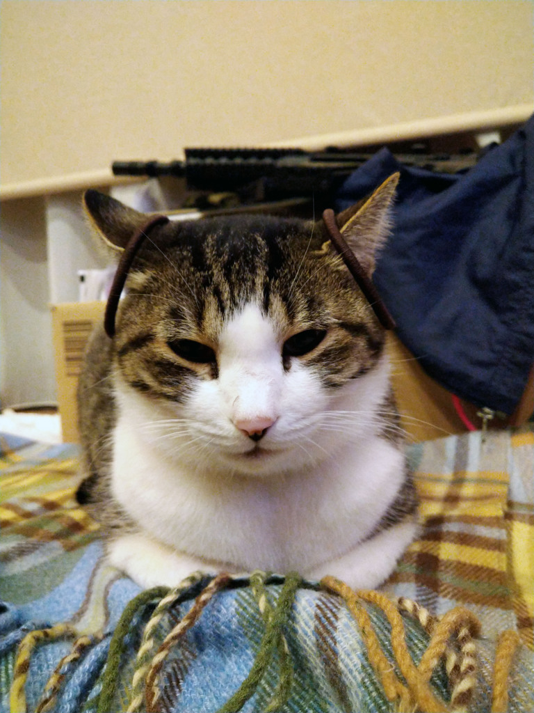似合うかしら