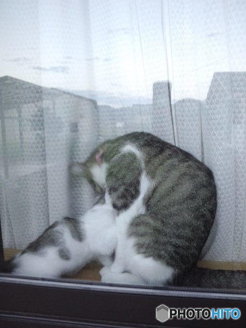育児中