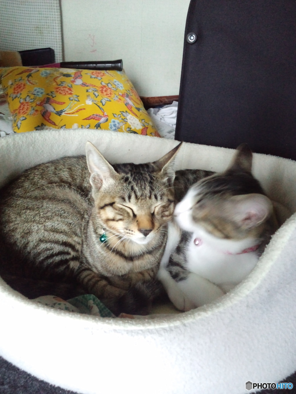 仲良し
