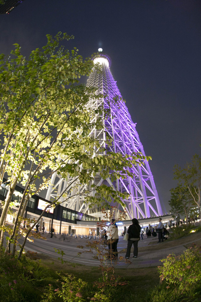 夜のスカイツリー