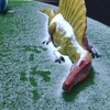 恐竜は雪を見た。