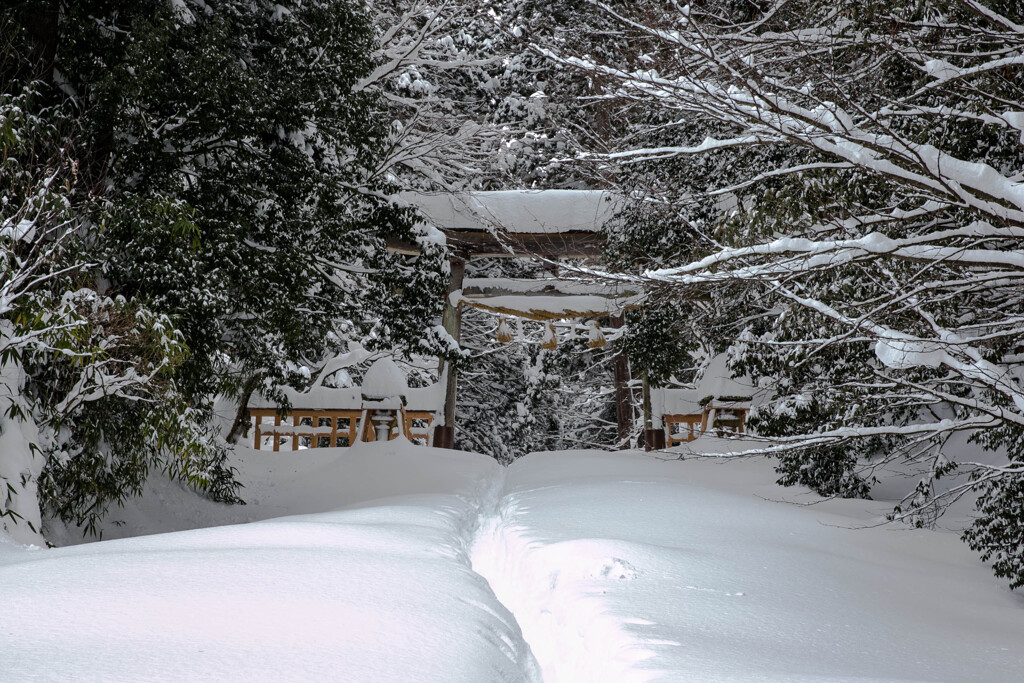 雪の細道
