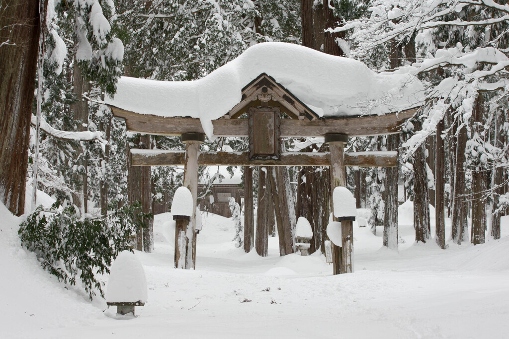 雪の中の鳥居