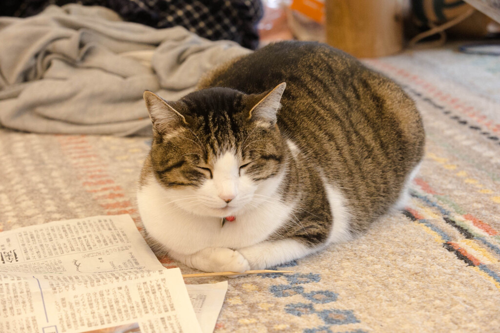 部屋が一番