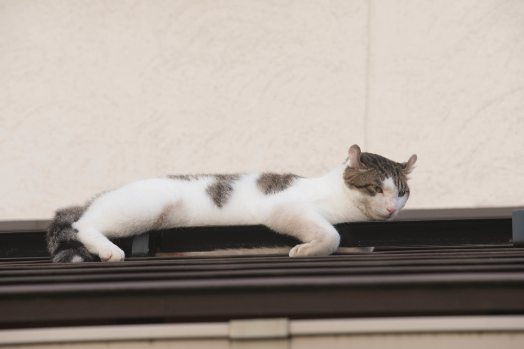 気持ちがいい