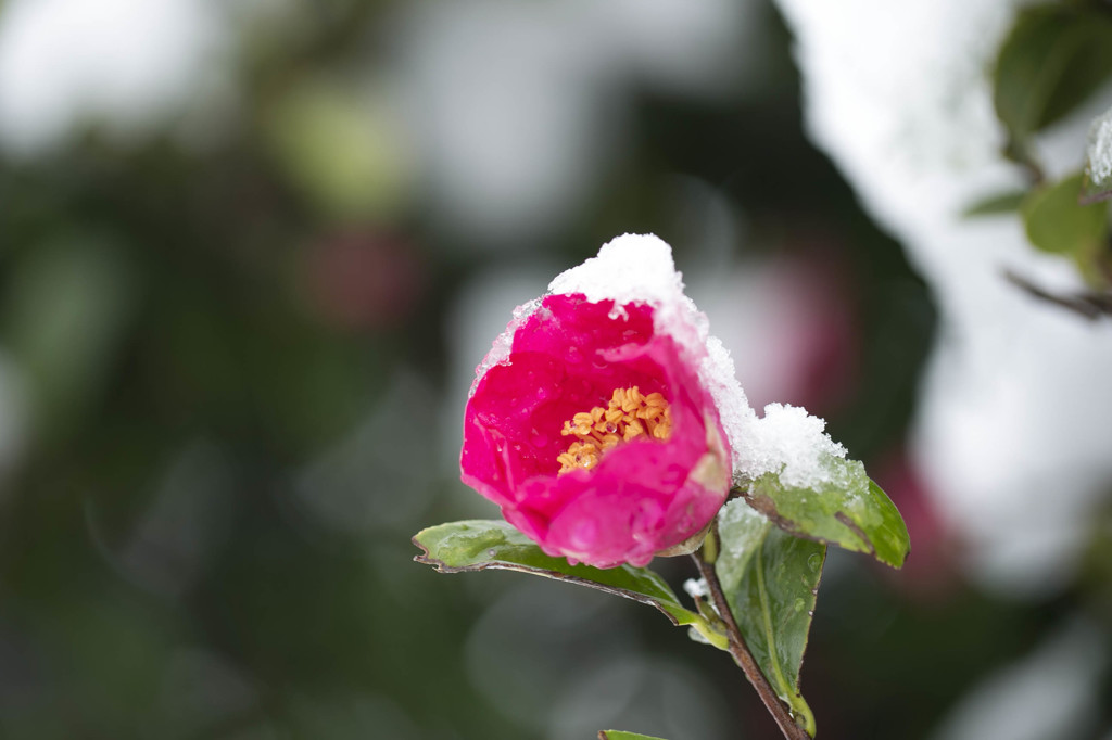 ちょっと冷たいね