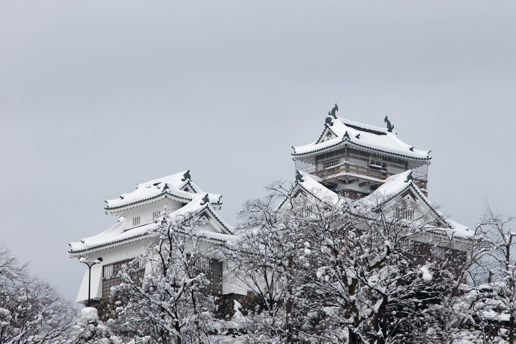 冬の大野城