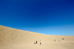 砂山に向かって