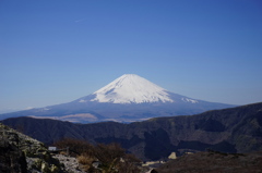 チャレンジしたいなぁ・・