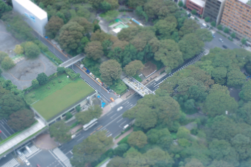 都会の公園