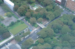 都会の公園