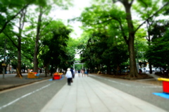 一本道