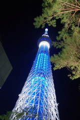 クールなスカイツリー