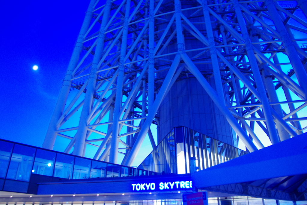 クールなスカイツリー１