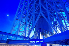 クールなスカイツリー１